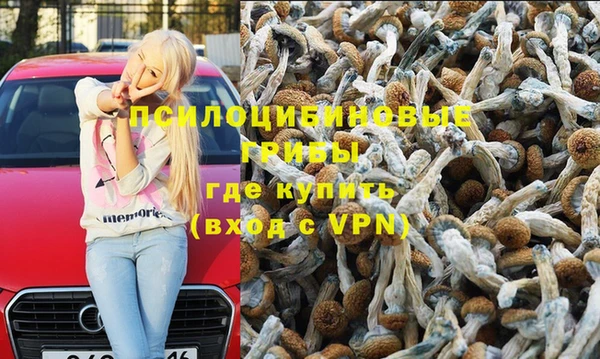 ПСИЛОЦИБИНОВЫЕ ГРИБЫ Заволжск