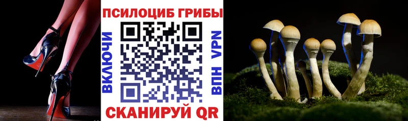 Псилоцибиновые грибы мухоморы даркнет сайт Ивантеевка