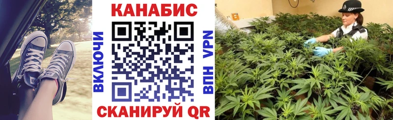 купить наркоту  маркетплейс как зайти  Канабис сатива  Ивантеевка 